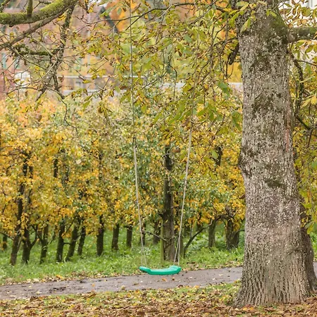 Obstgarten 公寓
