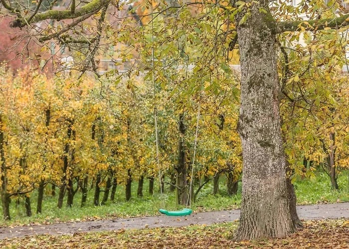 Obstgarten *